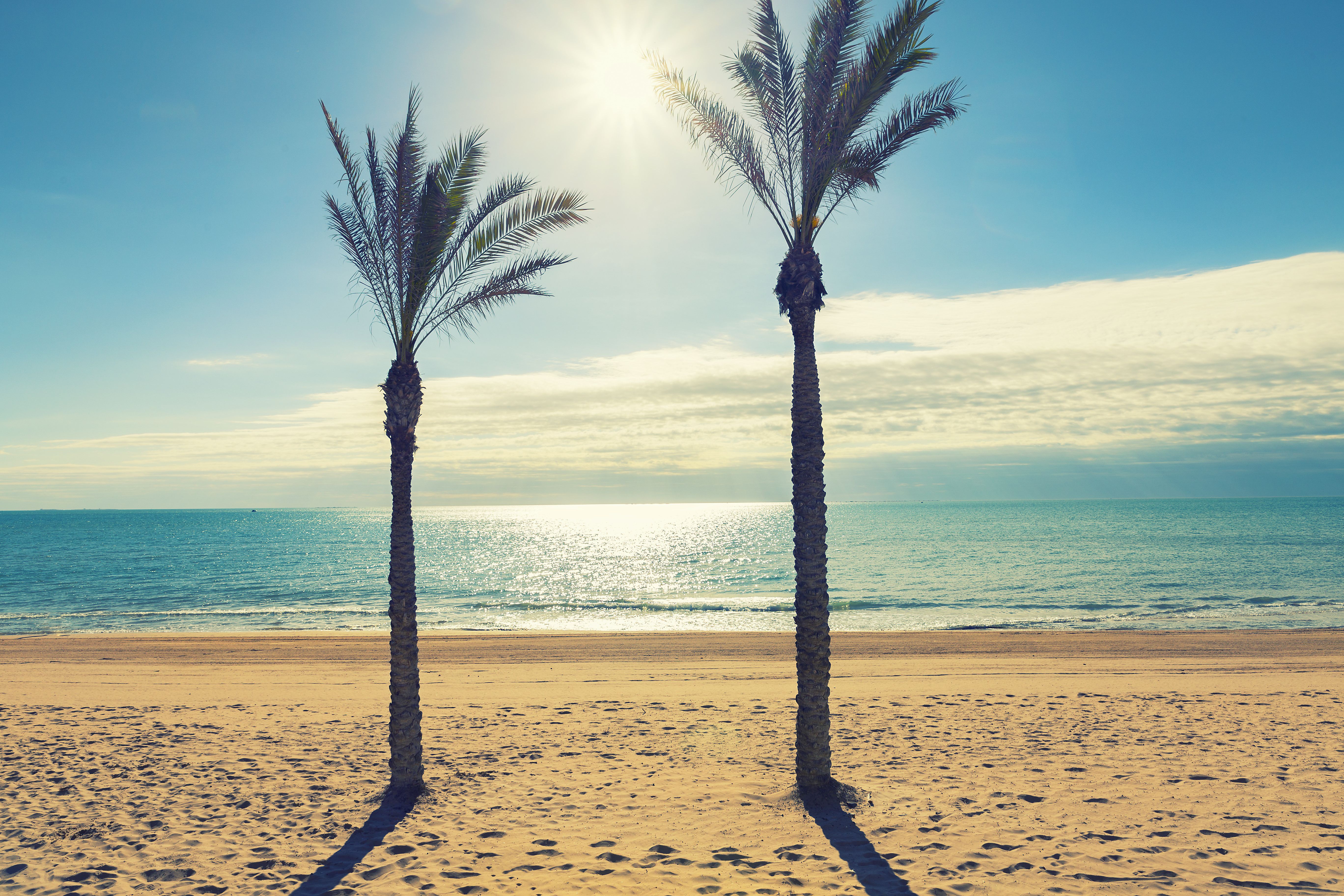 Guardamar-del-Segura-beach.jpg