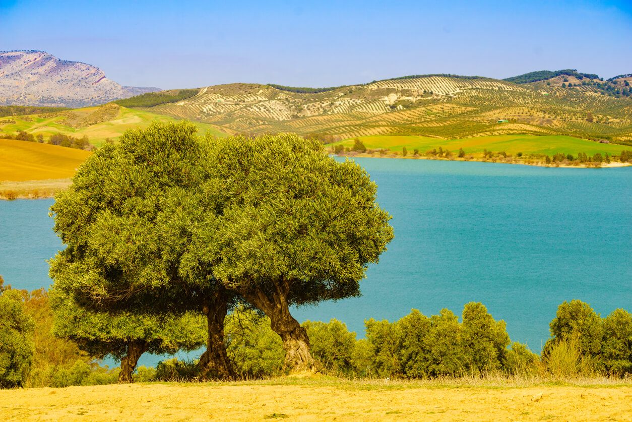 Ardale Lakes, Malaga province.jpg