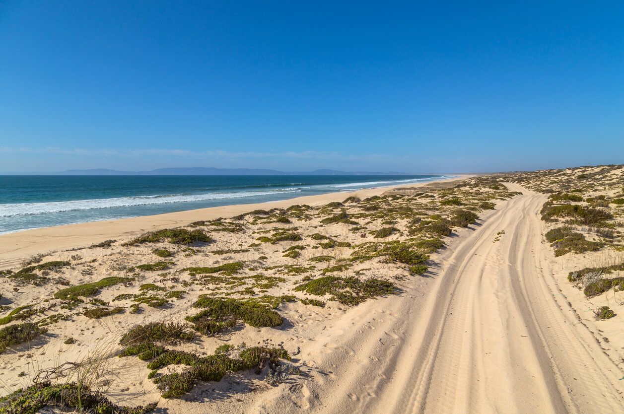 Comporta beach, Portugal.jpg