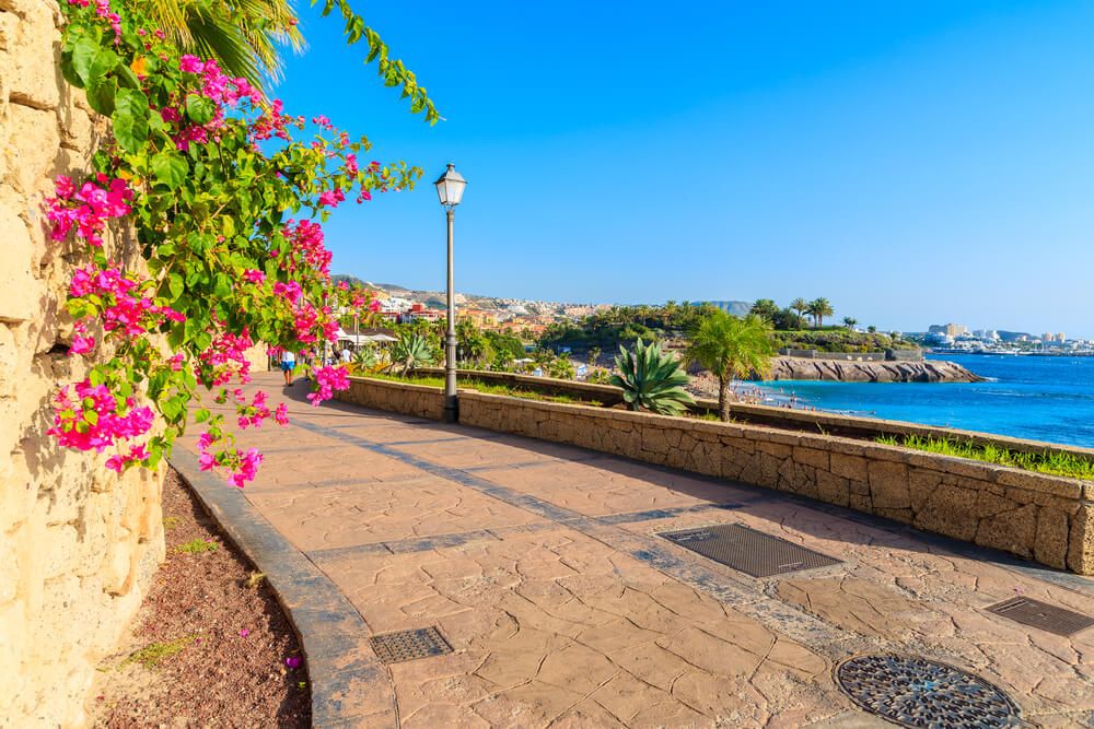 Flowers on promenade built along ocean in Costa Adeje town on southern Tenerife island.jpg